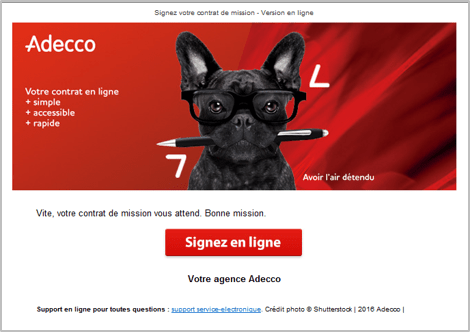 email de signalement de nouveau contrat
